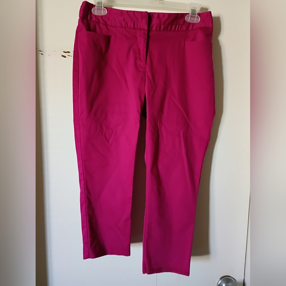 Worthington Women's Pink Capris Size 4P